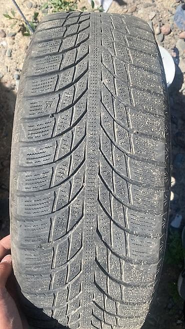 зимняя резина новая: Комплект автомобильных шин 195/65 R15 (4 шт.) Дискасы менен чогу 7мин — 2