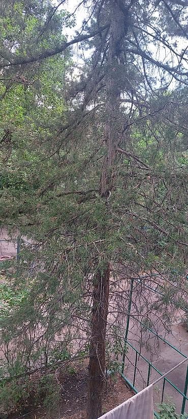 Батирлер: 1 бөлмө, 35 м², 104-серия, 2 кабат, Эски ремонт — 7