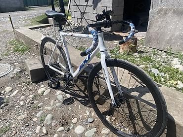 single speed: Шоссейный велосипед, Рама S (145 - 165 см), Б/у — 3