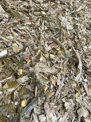 жалал абад ит: Продаются силос 7сом. с доставкой Силос сатылат 7 сом. жеткирүү жолу — 4