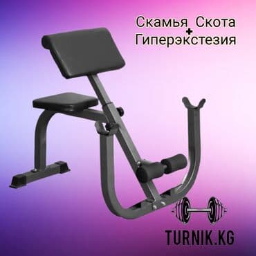 где можно купить настольный теннис: Тренажёр 2в1 
скамья скота и гиперэкстезия 
новая 
заводская — 1