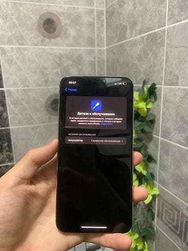 face id: IPhone Xs Max, Б/у, 64 ГБ, Серебристый, Зарядное устройство, Чехол, 78 % — 4