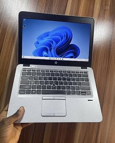 honor band: HP EliteBook 12,5" - Серия: HP EliteBook (корпус из серебристого — 2