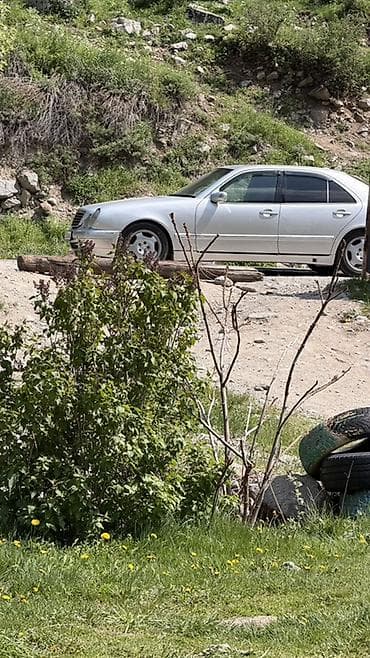 Транспорт: Mercedes-Benz E-Class: 2001 г., 3.2 л, Автомат, Бензин, Седан — 3