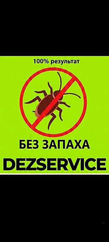 швея жумуш издейм упаковка: Дезинфекциялоо, дезинсекциялоо, | Канталалар, Бүргөлөр, Таракандар, | Транспорт, Офистер, Батирлер — 1