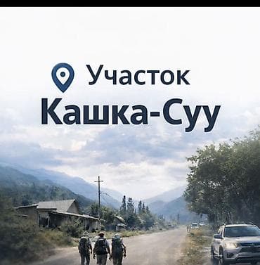 4 соток, Курулуш, Кызыл китеп — 1