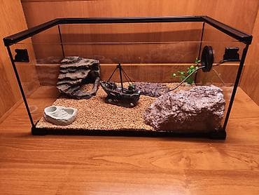 Террариум для гекконов, сцинков и других ящериц, полностью