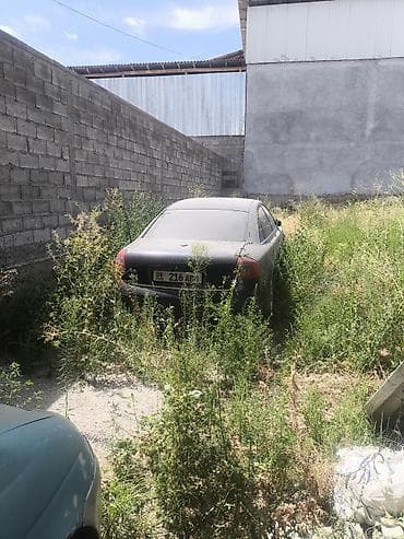 bmw x6 e71: Авто не нахаду продам на запчасти — 1
