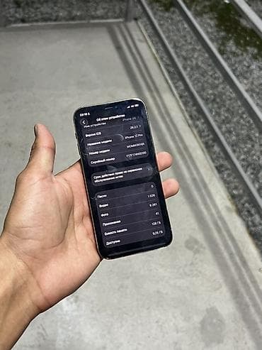 apple iphone 12 mini: IPhone 12 Pro, Серебристый — 6
