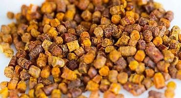 пыльца купить: Пчелиная перга (хлебина), гранулы - Натуральный пчелопродукт — 1