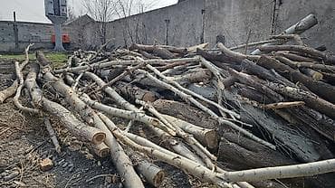 журкан сатылат: Отун — 3