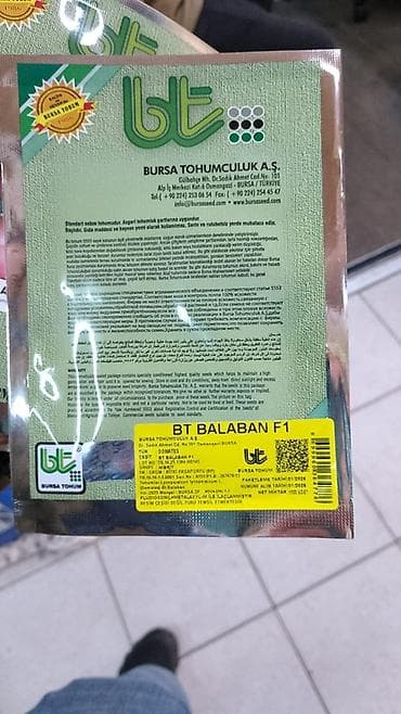 пекинская капуста басай: Семена Платная доставка — 5