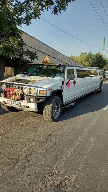 аппаратура 1 9: Скидки на лимузин до 30% до 31.12.2025 на свободные лимузины. выгодное — 3