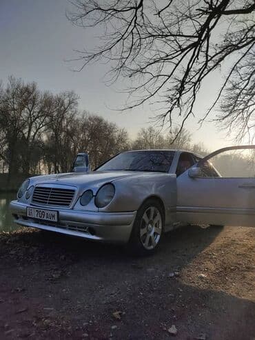 l9 авто: Mercedes-Benz E-Class: 1996 г., 4.2 л, Автомат, Бензин, Седан — 6