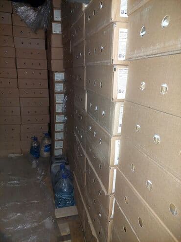 туалетное мыло оптом: 🔷️Мыло хозяйственное твердое с массовой долей жирных кислот 72% — 18