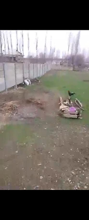 продаётся дом: 9 соток, Красная книга — 3