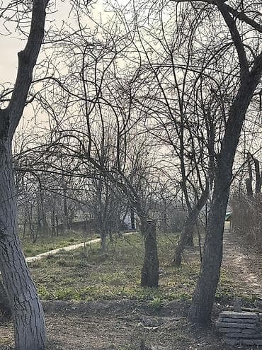 карагечева роща: 5 соток, Для бизнеса, Красная книга, Тех паспорт, Договор купли-продажи — 3