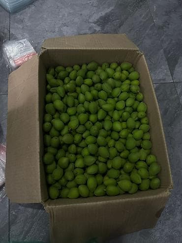 цена вишни на рынке: Абрикосы — 3