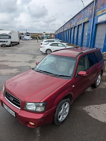 subaru forester: Subaru Forester: 2003 г., 2 л, Автомат, Газ, Универсал — 2