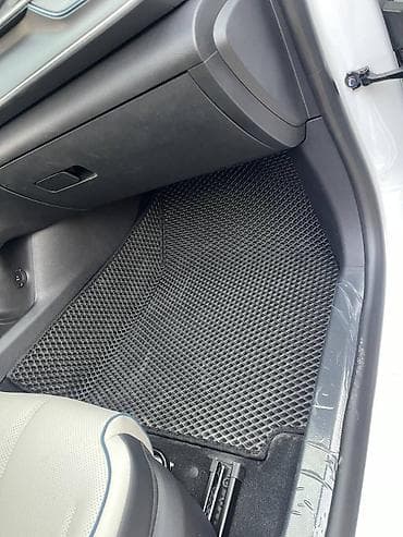 auris: Полики — 10