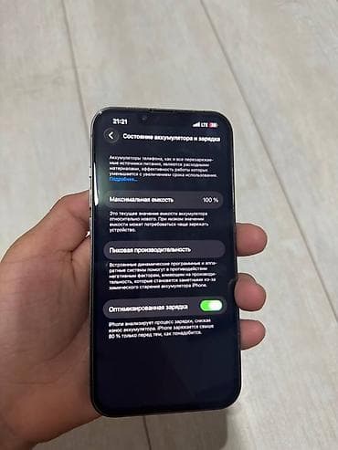 ipone 16 pro max: IPhone 13 Pro, 256 ГБ, Серебристый, Чехол, 100 % — 5
