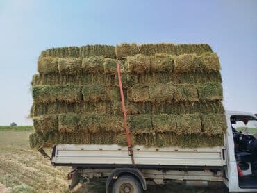 корм для домашних животных: 2 укос клевер 450 сом
1чоп укос 400сом
саман Арпа 220 сом — 5