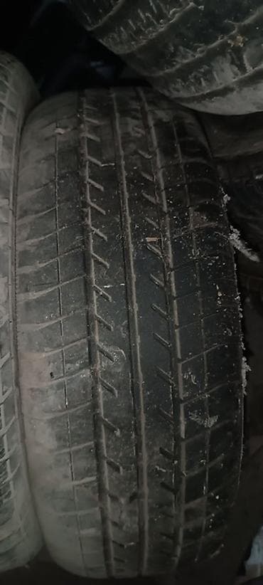 бак на ман: Шины 195 / 65 / R 15, Лето, Комплект, Легковые, Dunlop — 5