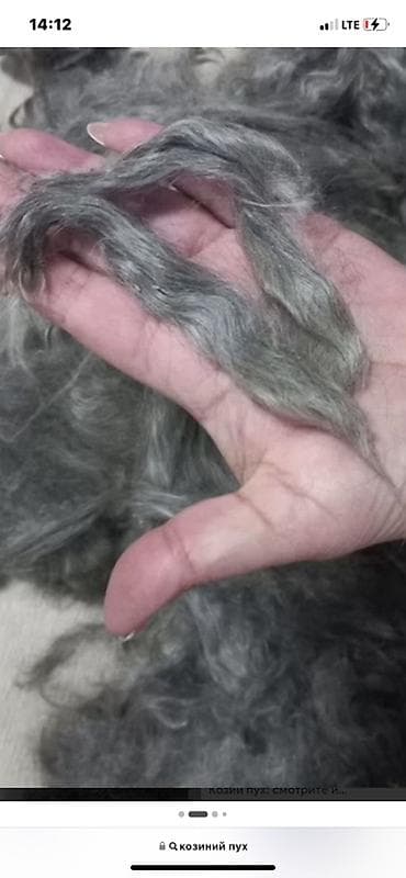 Оборудование для бизнеса: Козий пух для рукоделия - Натуральный козий пух, расчесанный — 1