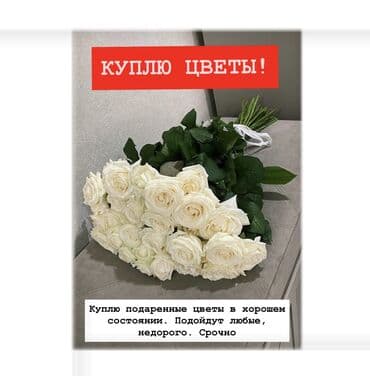 Куплю подаренные цветы в хорошем состоянии. Рассмотрю любые варианты и