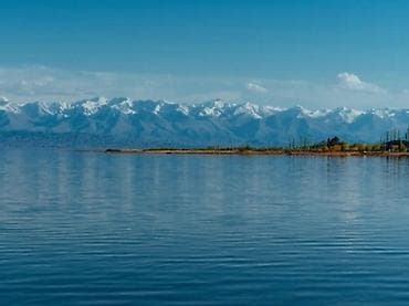 участок иссик куль: 60 соток — 1