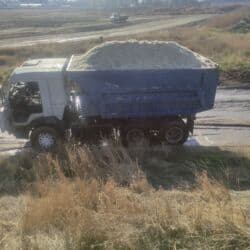 продажа щенков немецкой овчарки в бишкеке с документами: Жом с доставкой на дом беловодский Петровка садовый свежий кызыл туу — 11