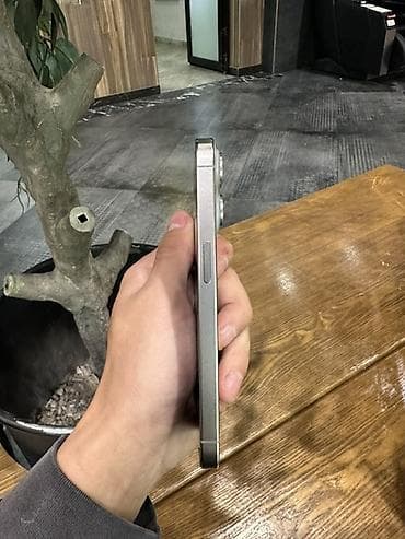 se 2016: IPhone 15 Pro, 256 ГБ, Natural Titanium — 4