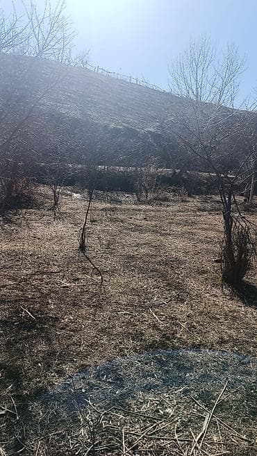 авангард монако: 17 соток, Для строительства — 7