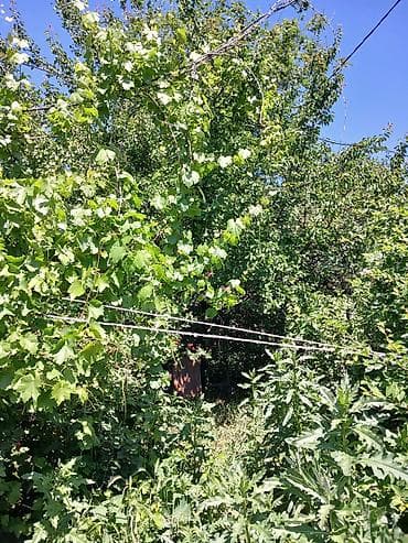 кизыл кия: Продаю полдома, 4ком. участок 4сот. район Сокулукский,с. Кожомкул,ул — 4