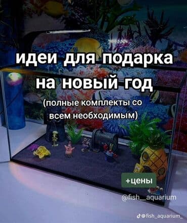 подарок девушке на новый год бишкек: Идеи для подарка на новый год. Комплекты с дизайном и оборудованием — 1