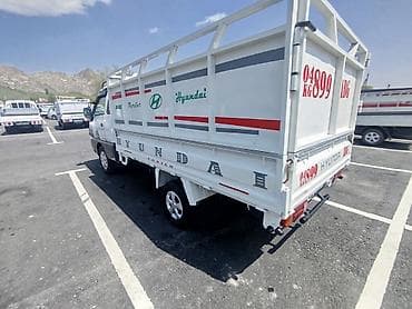 nissan terrano: Легкий грузовик, Hyundai, Стандарт — 3