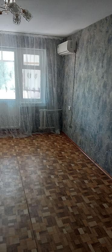 вислоухий кошка: 1 комната, С мебелью полностью — 3