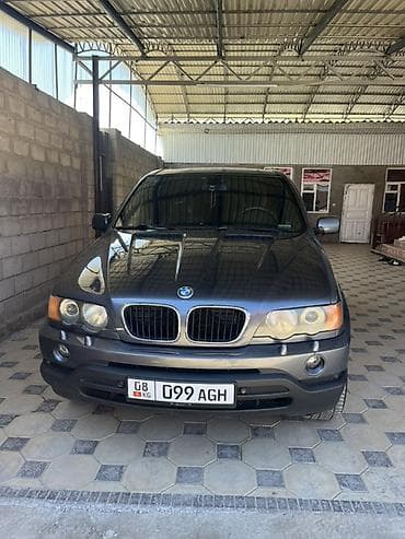 BMW X5: 2003 г., 3 л, Автомат, Дизель, Кроссовер