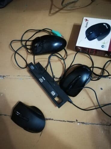 Мышь, цена за все