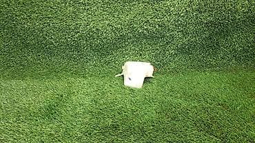 е38: Бачок BMW 1997 г., Б/у, Оригинал, Германия — 1