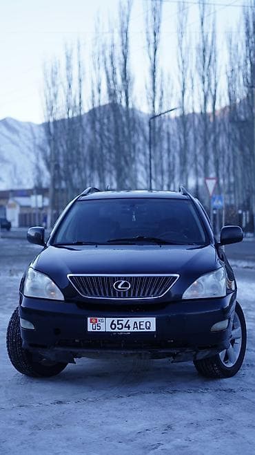 puma mercedes: Lexus RX: 2003 г., 3.3 л, Автомат, Газ, Универсал — 2