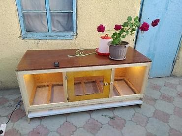 инкубатор курицы: Готовое решение! Брудер Цыплятам, Брудеры Суточным, кучинские — 1