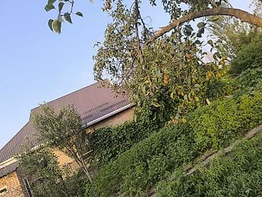 кирпич скупка: Кирпичный одноэтажный дом с мансардой и садом - Материал стен — 3