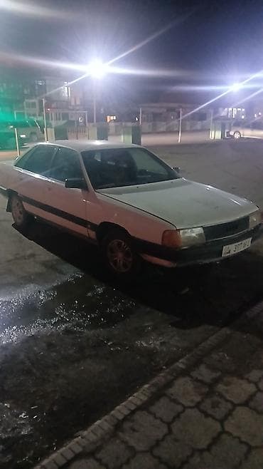 садовые цветы в бишкеке: Пеларгония (герань) с розовыми соцветиями - Сорт: зональная — 3