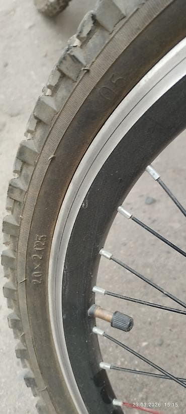 Велосипеддер: Балдар үчүн велосипед, 2 дөңгөлөктүү, 6 - 9 жаш, Бала үчүн, Колдонулган — 5