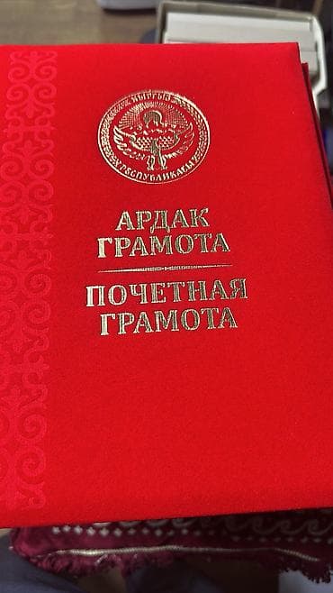 Дом и сад: Папка бархатная. Почетная грамота бархатная в наличии оптом и в — 5
