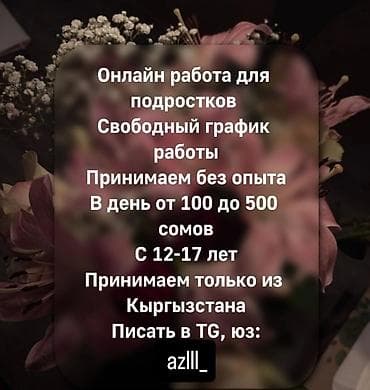 Сетевой маркетинг: Онлайн работа для подростков с 12-17, берём без опыта,свободный — 1