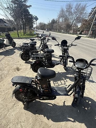 бир: Электрдик велосипеддер, Колдонулган — 3