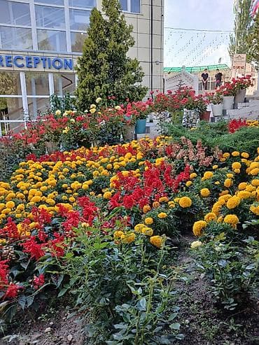 Сниму в аренду гостевой дом и кухню на Иссык-куле на длительный срок