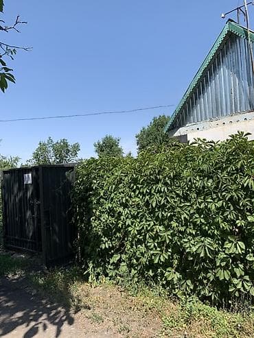 Дача/садовый участок с домиком и хозпостройками в г. Кара-Балта, дача — 5